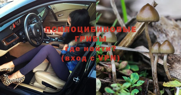 PSILOCYBIN Алзамай