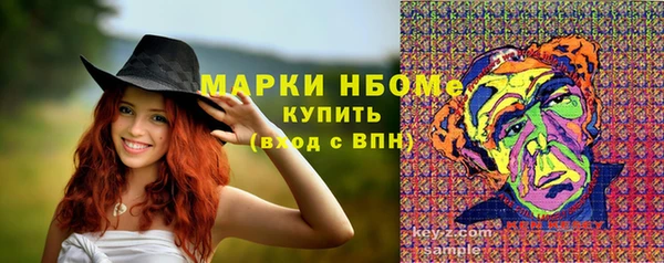 PSILOCYBIN Алзамай
