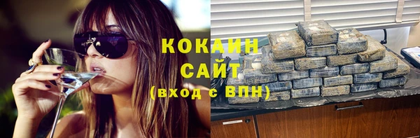 кокс Алексин