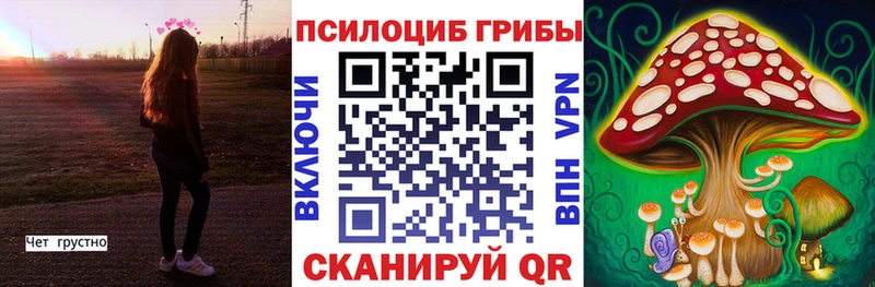 ОМГ ОМГ зеркало  Кинель  Псилоцибиновые грибы ЛСД 